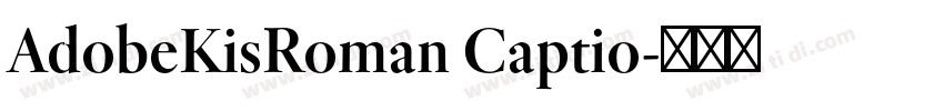 AdobeKisRoman Captio字体转换